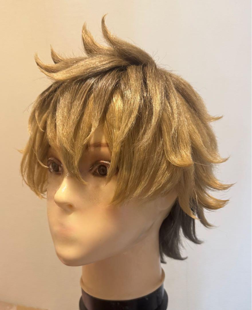 ツイステ ラギー コスプレ ウィッグ セット済み