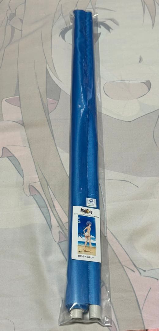 無職転生II ～異世界行ったら本気だす～ 特大タペストリー2本セット