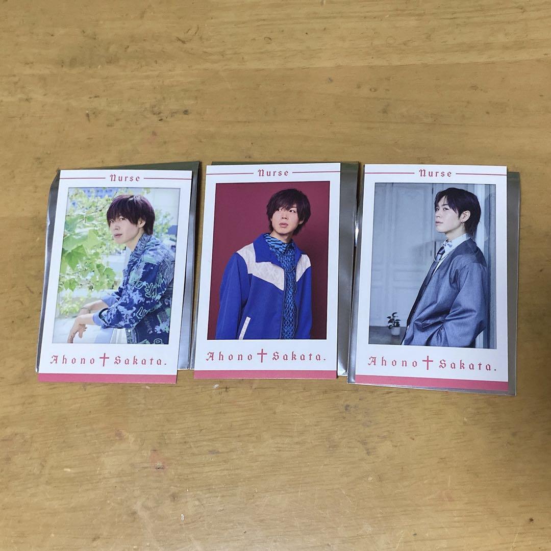 坂田 チェキ Nurse フォトカ さかわん2025 あほの坂田 となりの