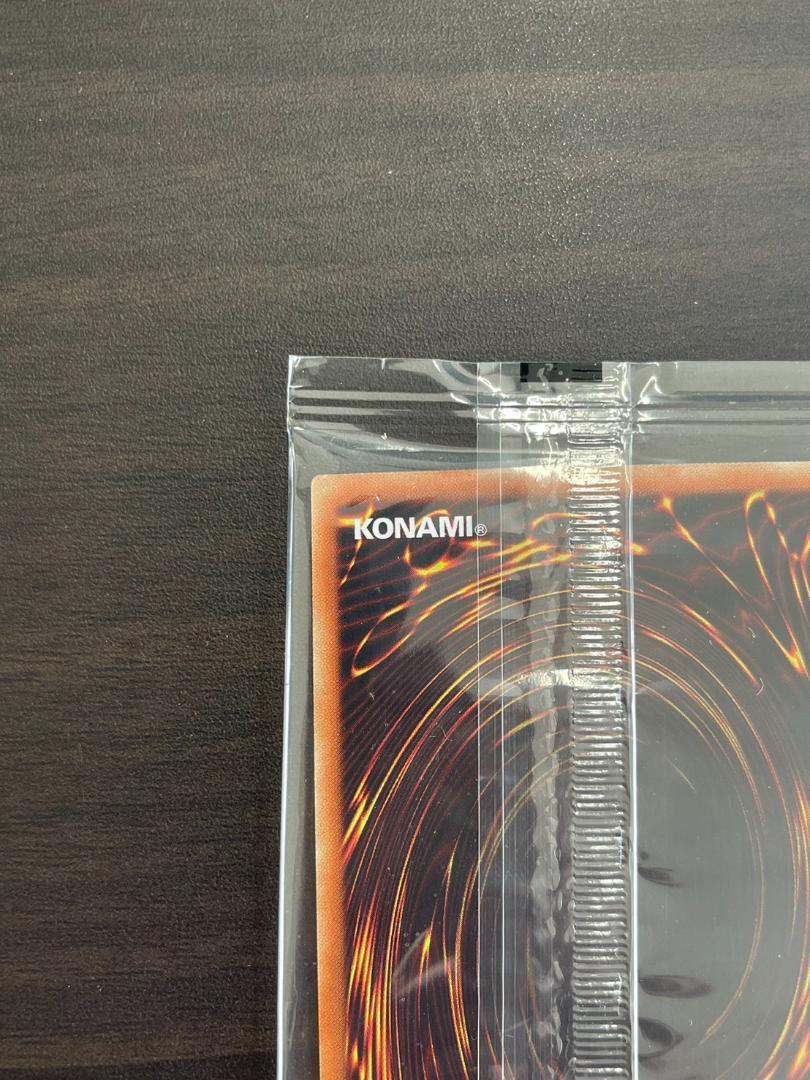 遊戯王 ブラックマジシャンガール ホロ新品未開封