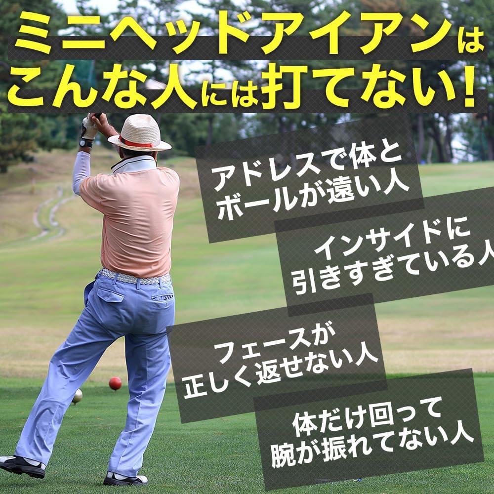 GOLFavo ミニヘッドアイアン ゴルフ練習器具