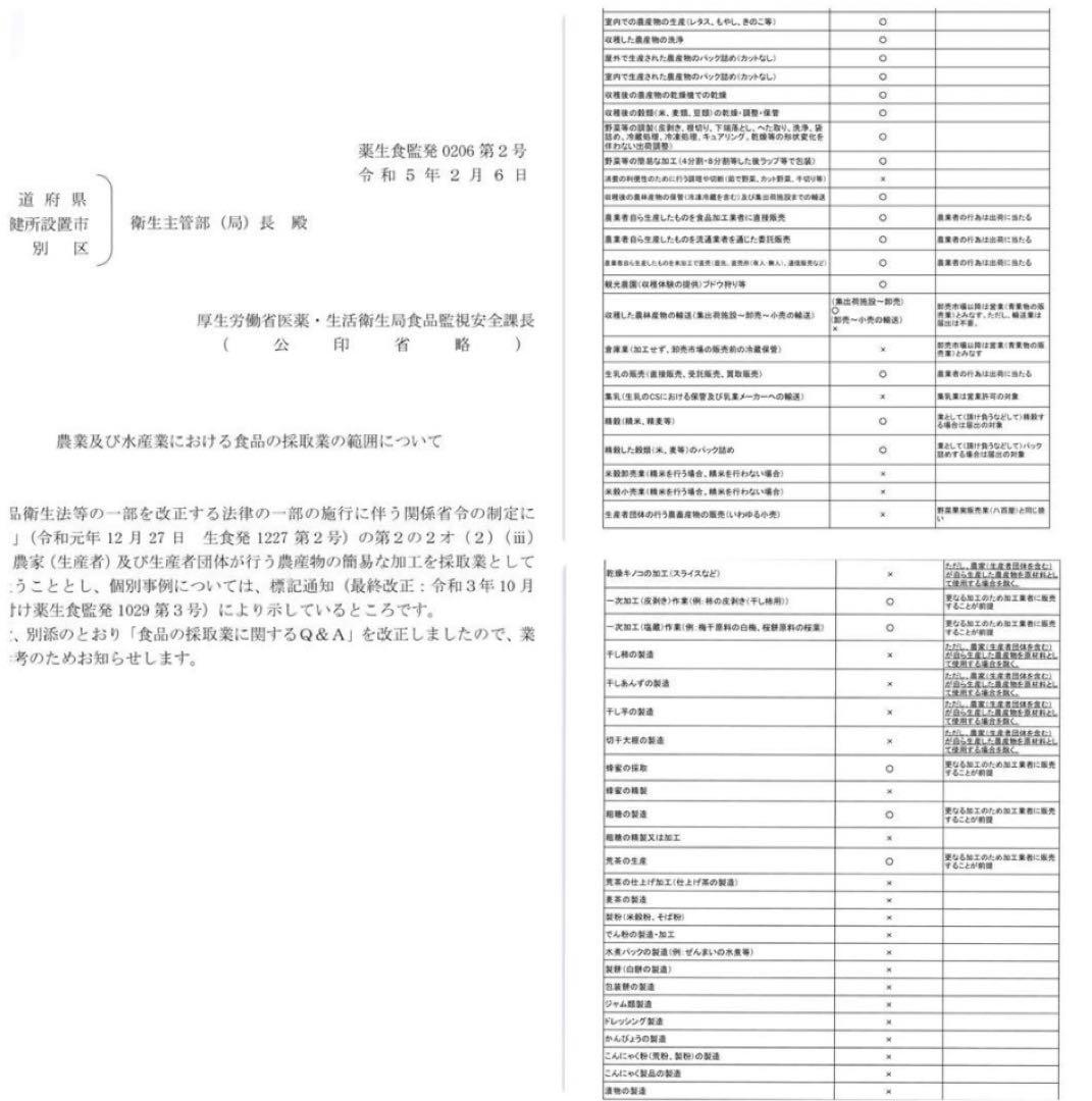 レイア出品ページ
