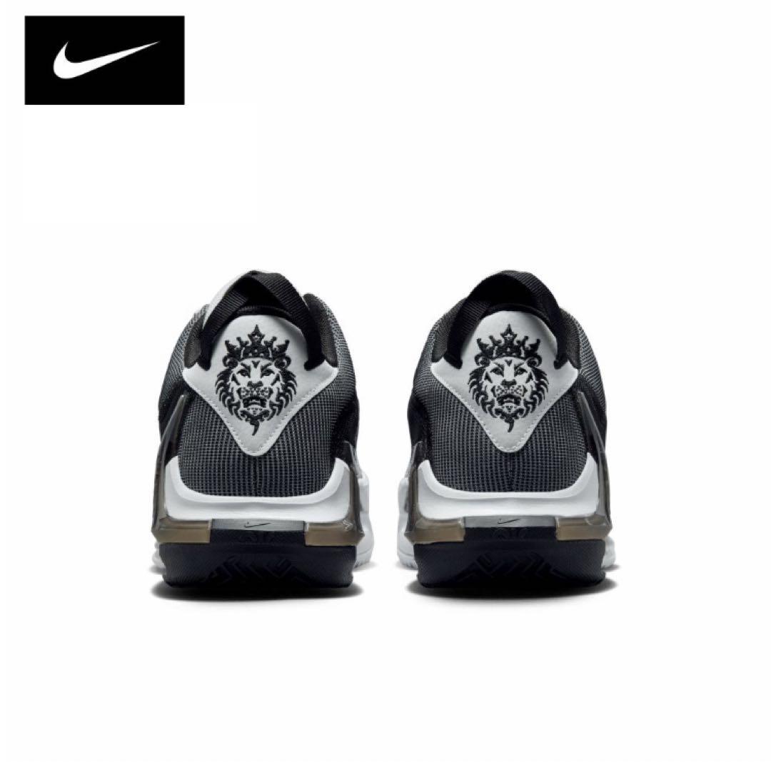 26㎝　NIKE レブロン ウィットネス 7 EP