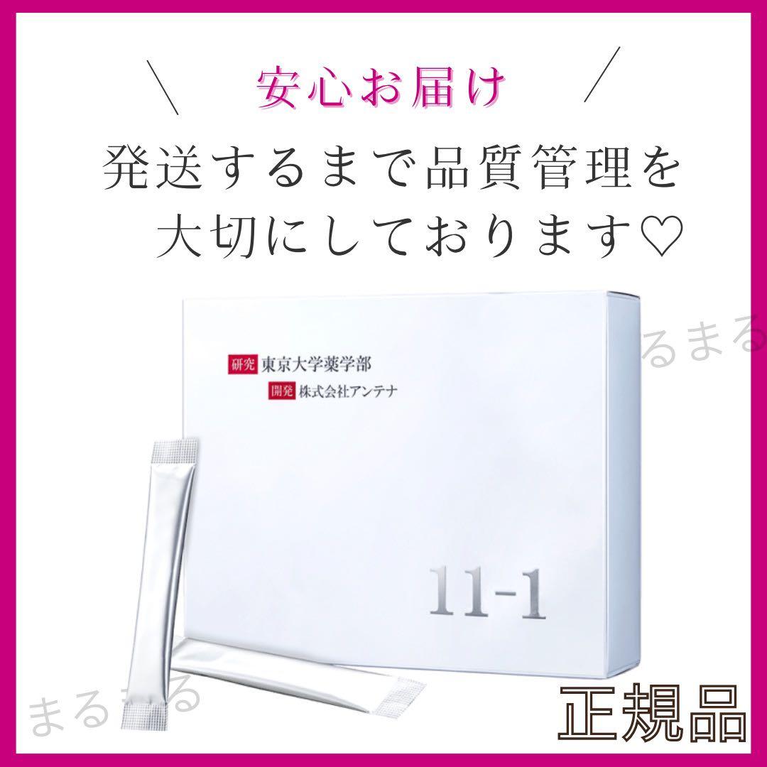 11-1 乳酸菌 いちいちのいち 60包 2箱 新品未開封 正規品