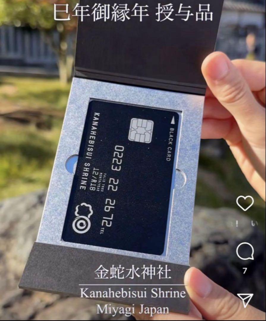 金蛇水神社 巳年御縁年 ブラックカード　3枚 金運カード守 黒 8,888円