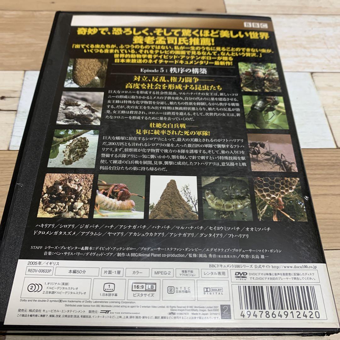 BBC ライフ・イン・ザ・アンダーグロウス/昆虫の世界 DVD-BOX〈5枚組〉 Amazon.co.jp: BBC ライフ・イン・ザ・アンダーグロウス/昆虫の
