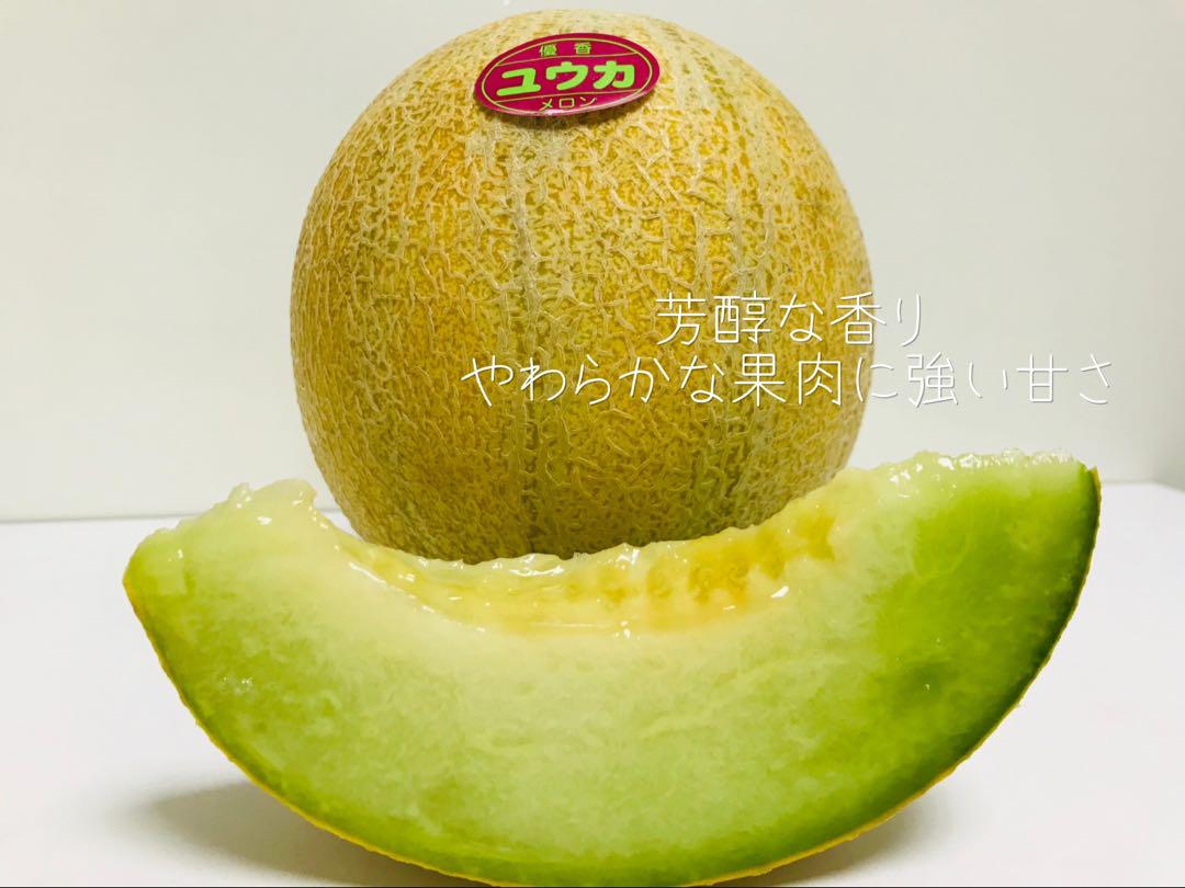 幻のメロン　優香メロン　ゆうか　メロン　ユウカメロン　茨城県　メロン　6kg ゆうか 幻のメロン 優香メロン メロン ユウカメロン 茨城県 2個