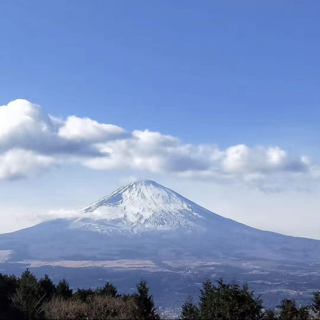 みぃわ様専用