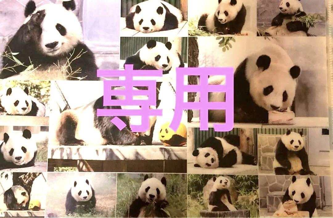 ♦️非売品 2種♦️王子動物園×新聞社 プロジェクト タンタン ♦️非売品 2種♦️王子動物園×新聞社 プロジェクト タンタン