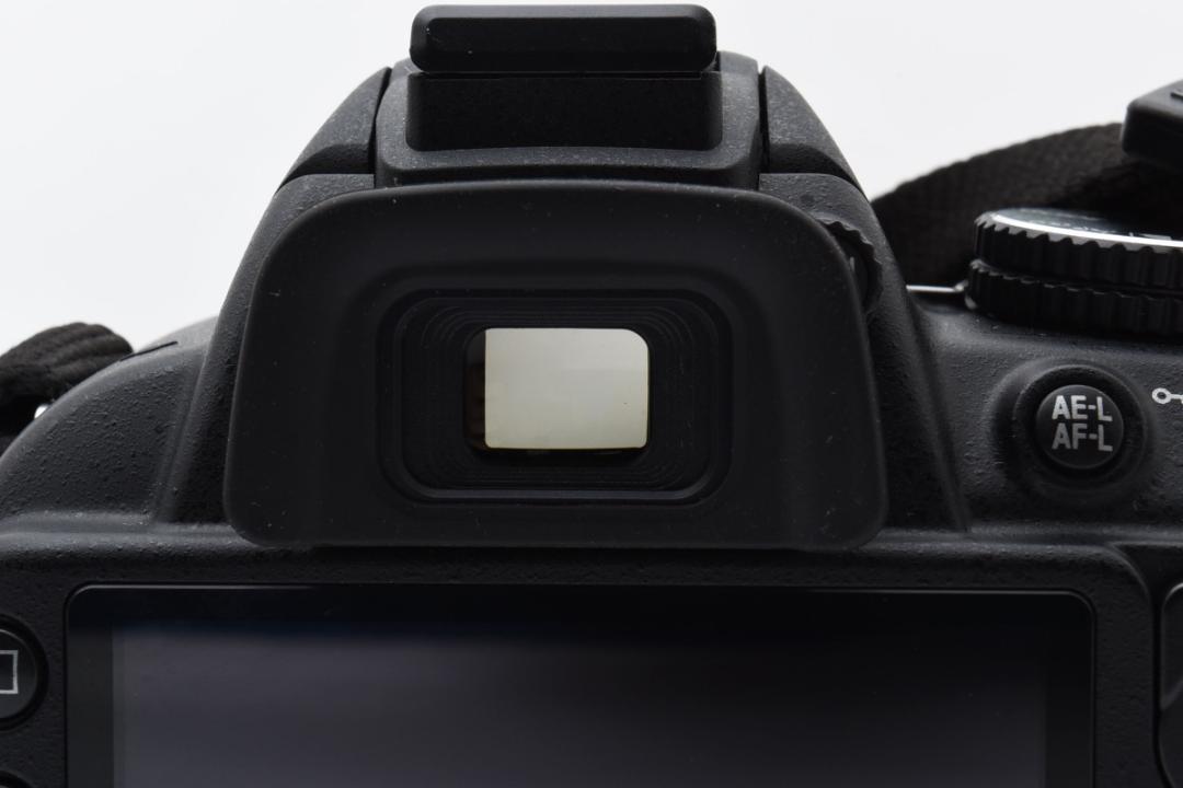 D3100