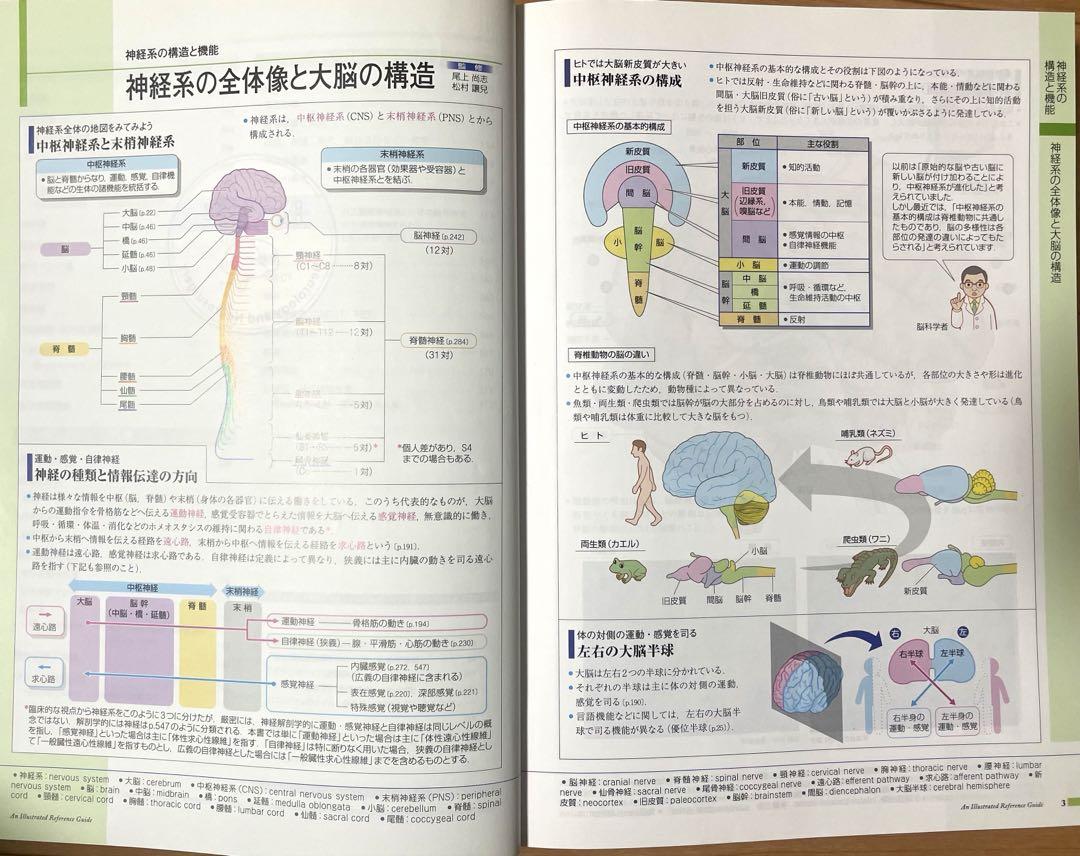 美品！病気がみえる　脳・神経、循環器、呼吸器、消化器セット