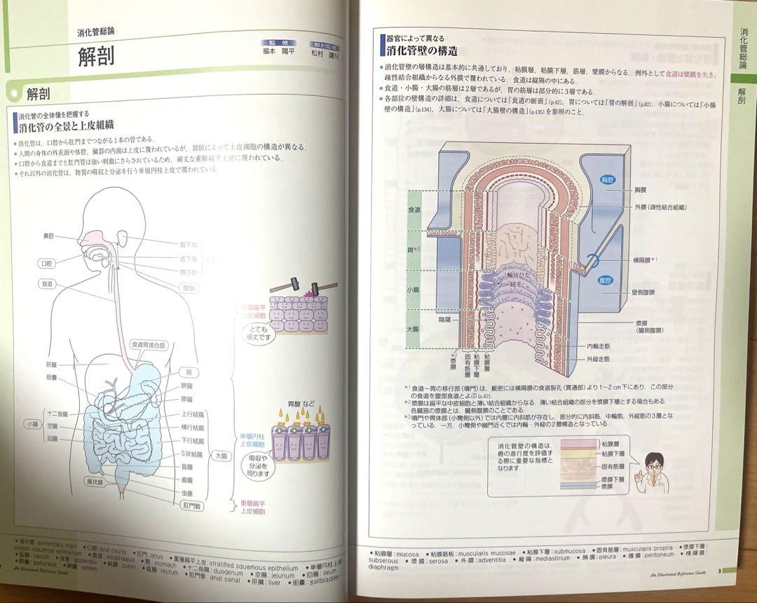 美品！病気がみえる　脳・神経、循環器、呼吸器、消化器セット