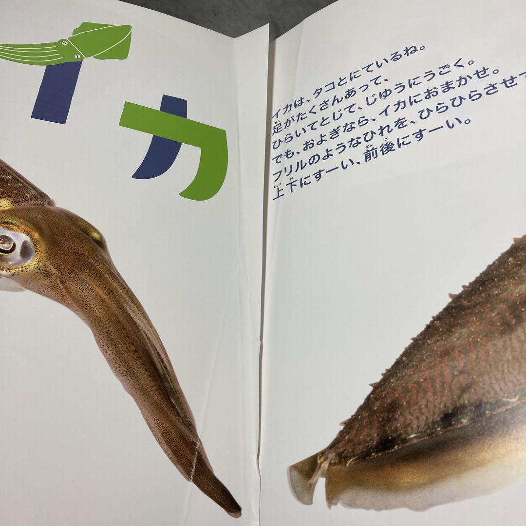 学研「ほんとのおおきさ水族館」「もっと!ほんとのおおきさ