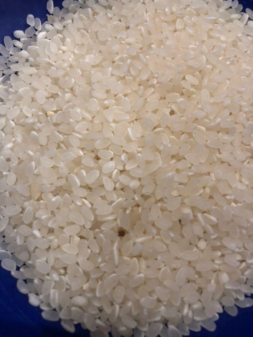 ササニシキ　玄米10kg　宮城県産　令和6年度