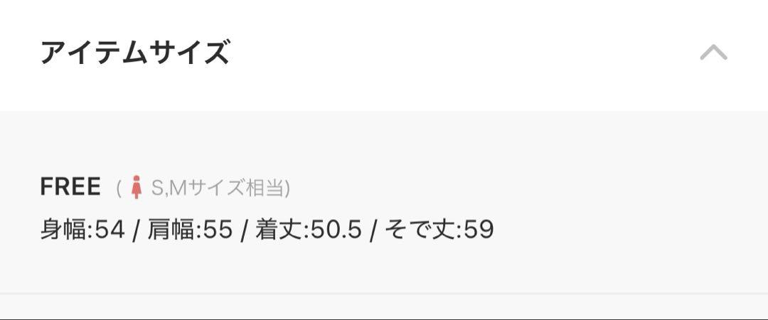 お値下げ⭐︎ADAM ET ROPE' AERロゴスウェット