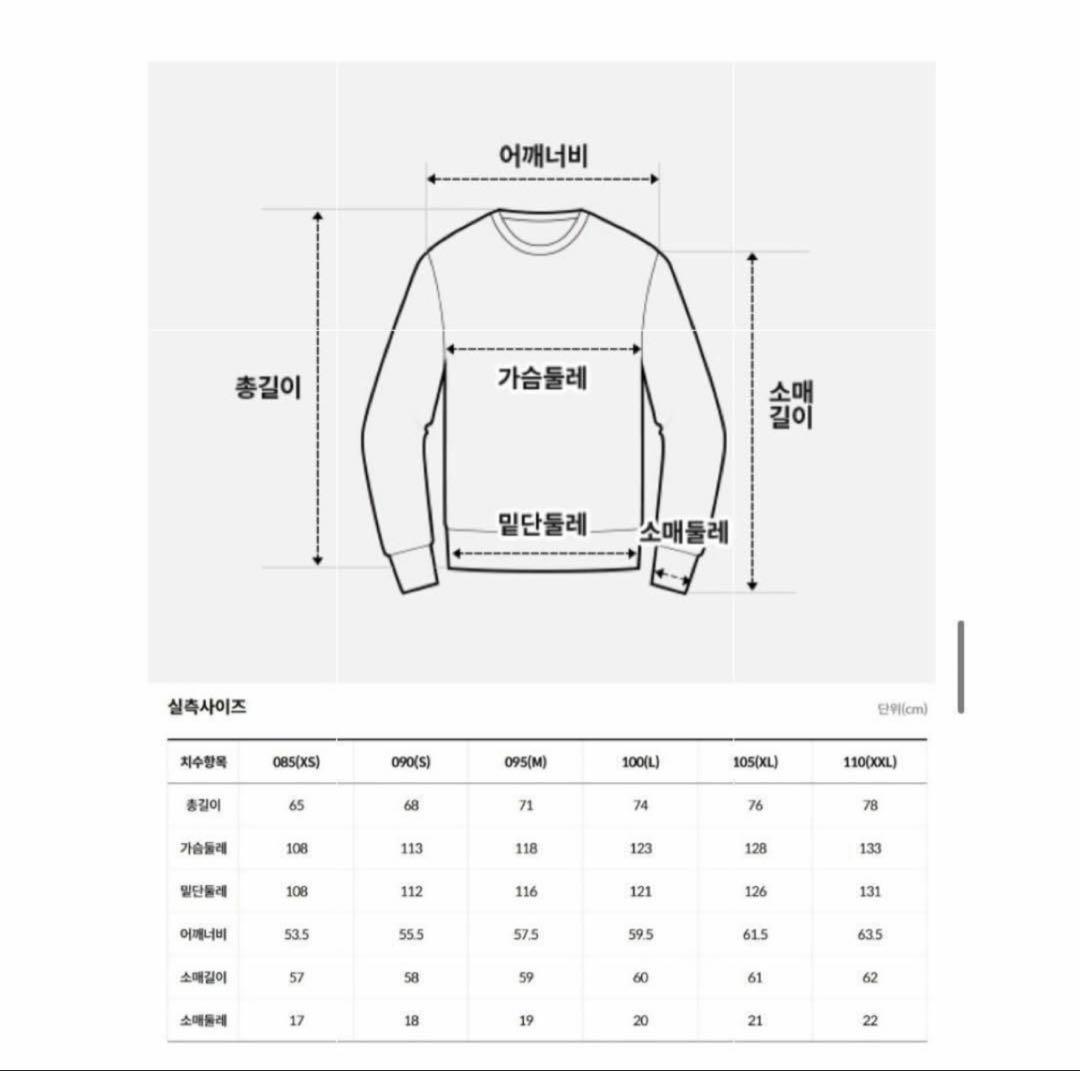 日本未入荷　ノースフェイス　ロングTシャツ　男女兼用OK Lサイズ