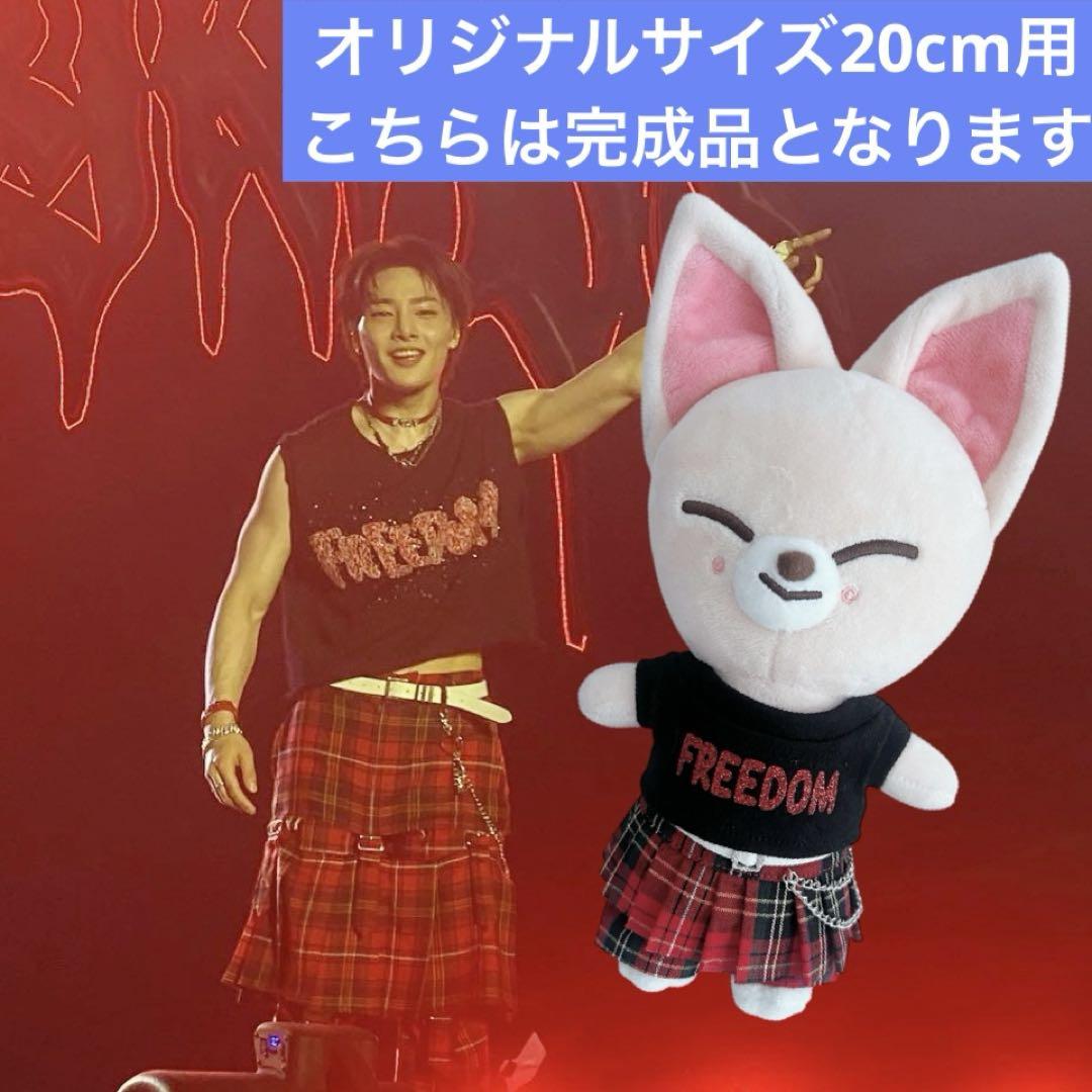 stray kids スキズ アイエン ぬいぐるみ 20cm マスター 人形