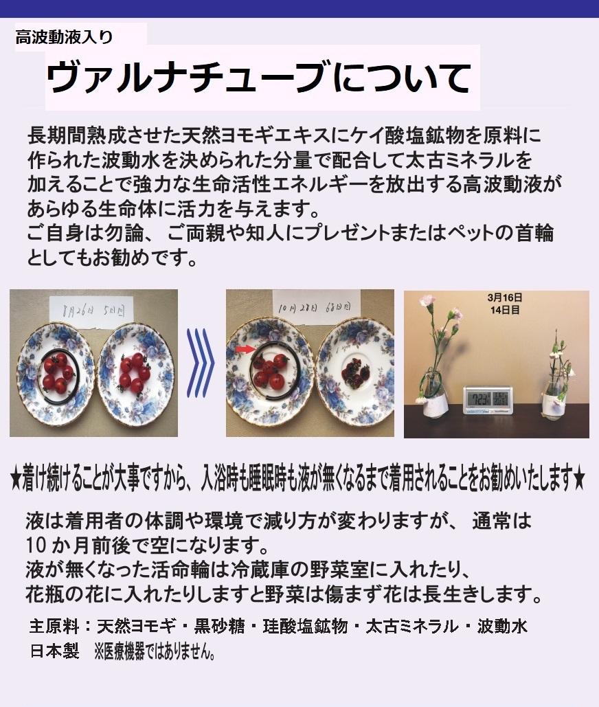 高波動液入り　ヴァルナチューブ　【首用】身につけるだけのスーパー健康法！ つよしくん 正規加盟店 高波動液入り ヴァルナ・チューブ 【首用