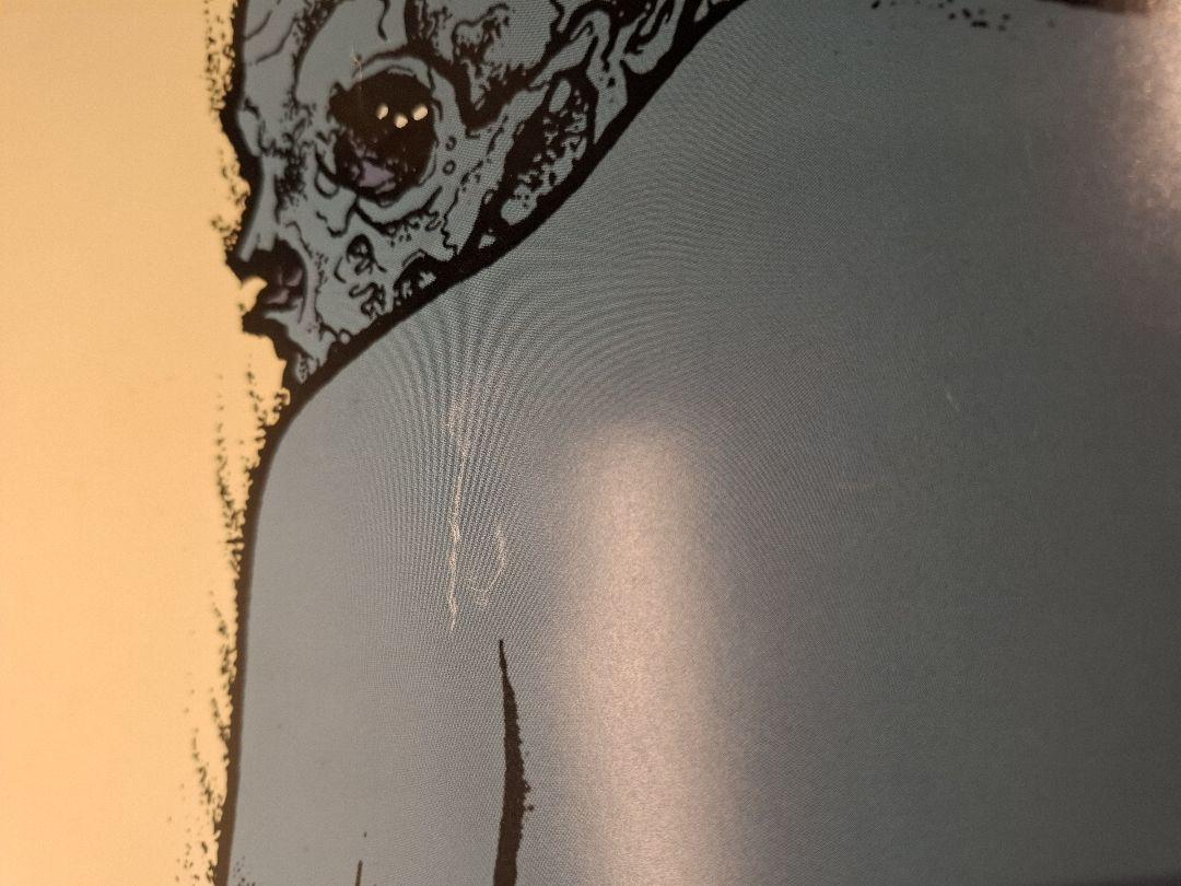 COCOBAT TSUKIOOKAMI ポスター ココバット パスヘッド COCOBAT /TSUKIOOKAMI /PUSHEADポスター（PUSHEAD SKULL B2