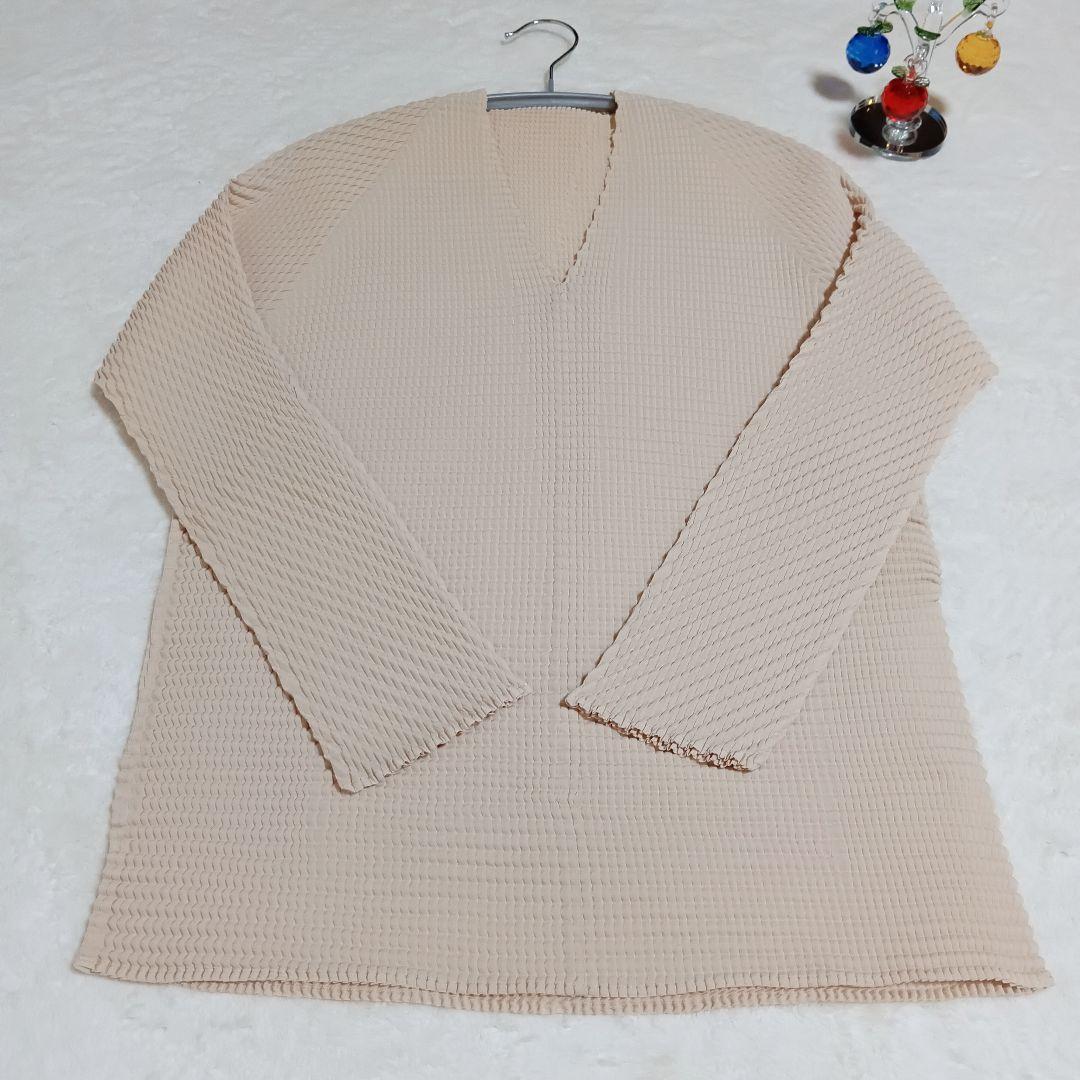 【希少品】【美品】ISSEY MIYAKE プリーツVネックカットソー M
