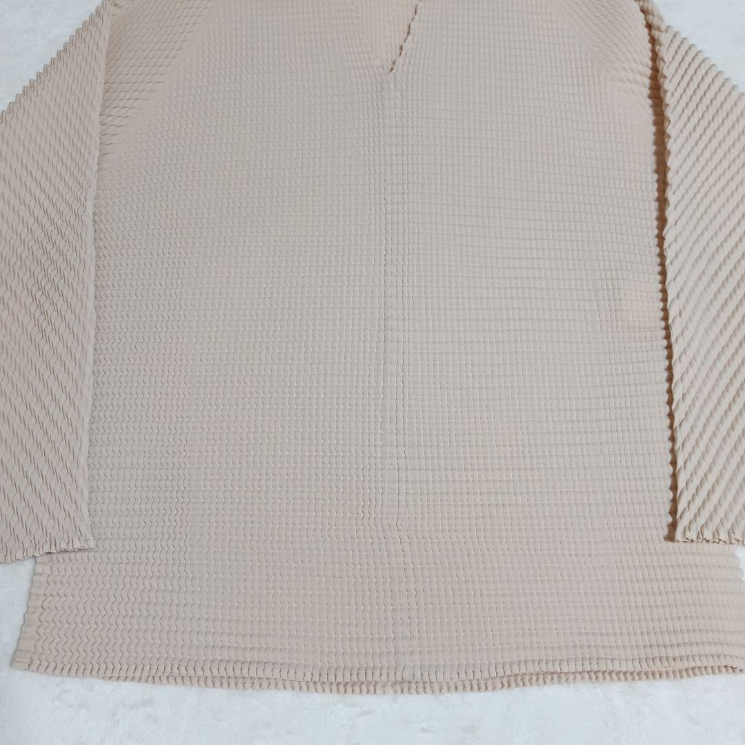 【希少品】【美品】ISSEY MIYAKE プリーツVネックカットソー M