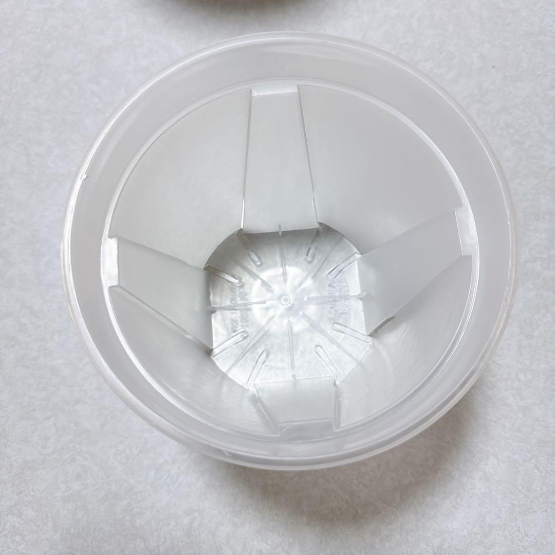 丸型プランター 花