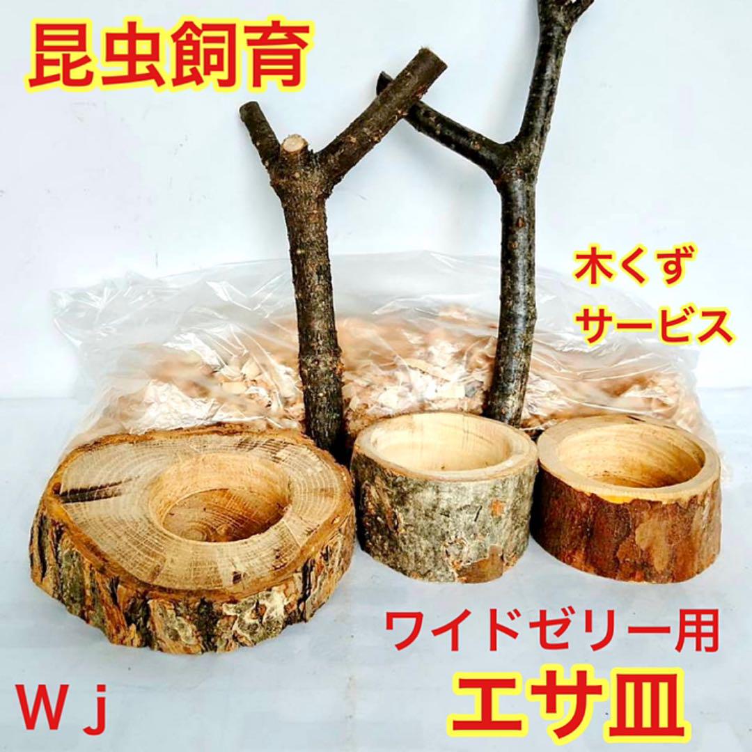 j クワガタ カブトムシ クワリウム エサ台 エサ皿 登り木 止まり木 匿名配送 - メルカリ j クワガタ カブトムシ クワリウム エサ台 エサ皿 登り木 止まり木 匿名配送 - メルカリ