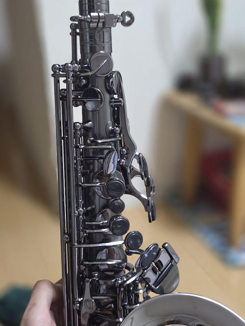 Cannonball A5-BiceB　アルトサックス