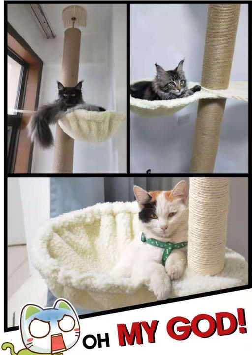 国産最新品 キャットタワー 木登りタワー 全麻縄巻きおしゃれ猫タワー替えハンモックセット QkIPU-m69006635450 新作超特価