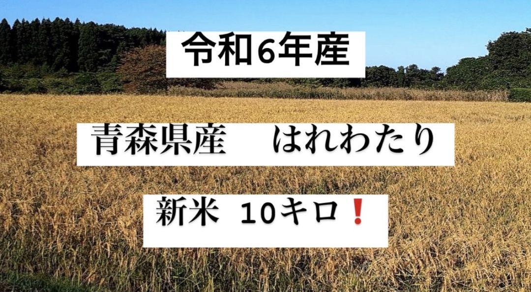 新米 はれわたり 青森県産 10キロ