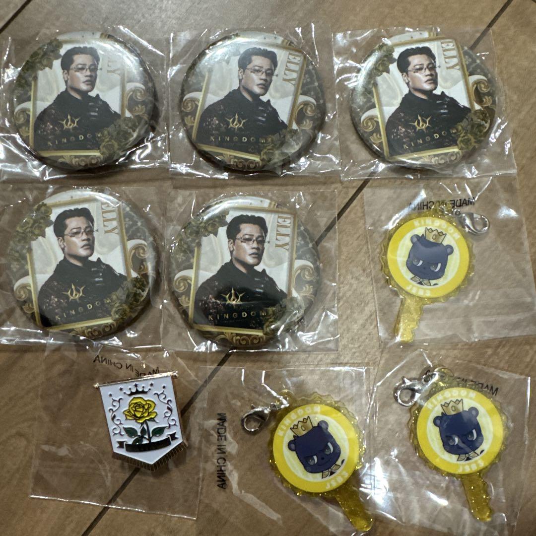 イラク復興支援群メダル・パッチ・ピンバッジセット 三代目 JSB KINGDOM メタルピンバッジ ELLY 缶バッジ セット