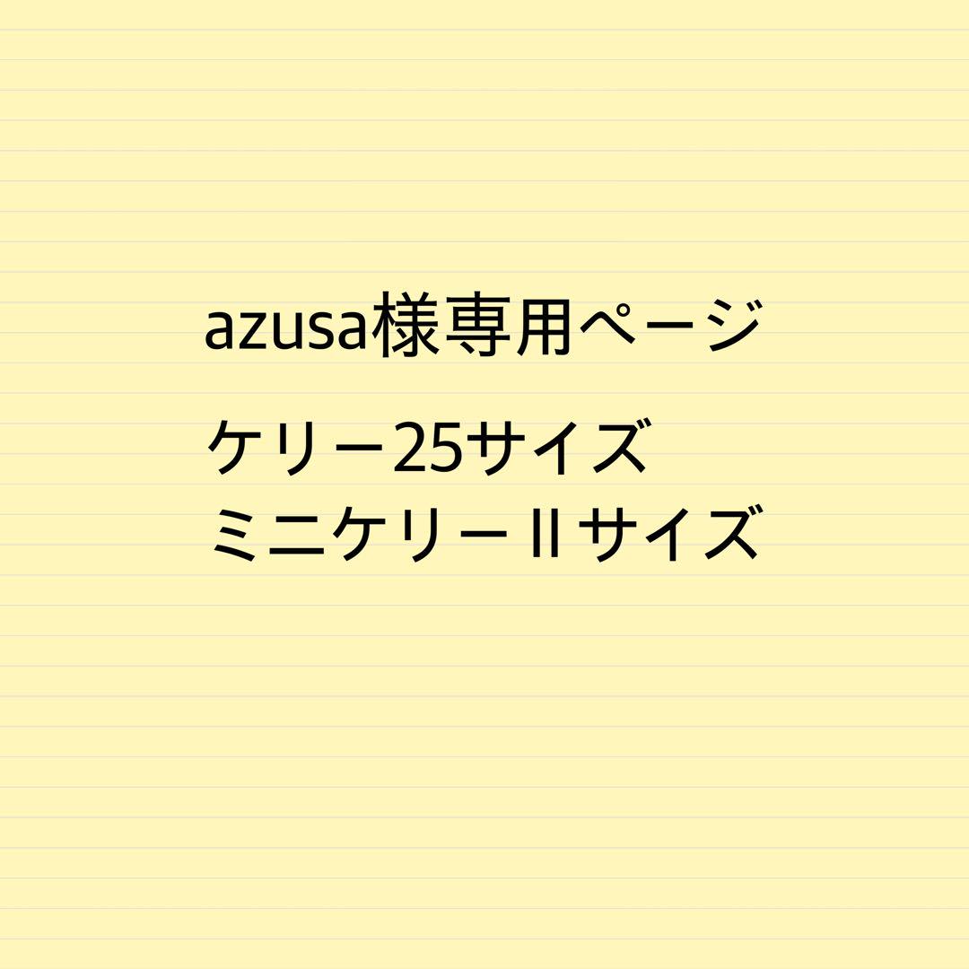 azusaページk25サイズ.ミニケリーⅡサイズバッグインバッグ