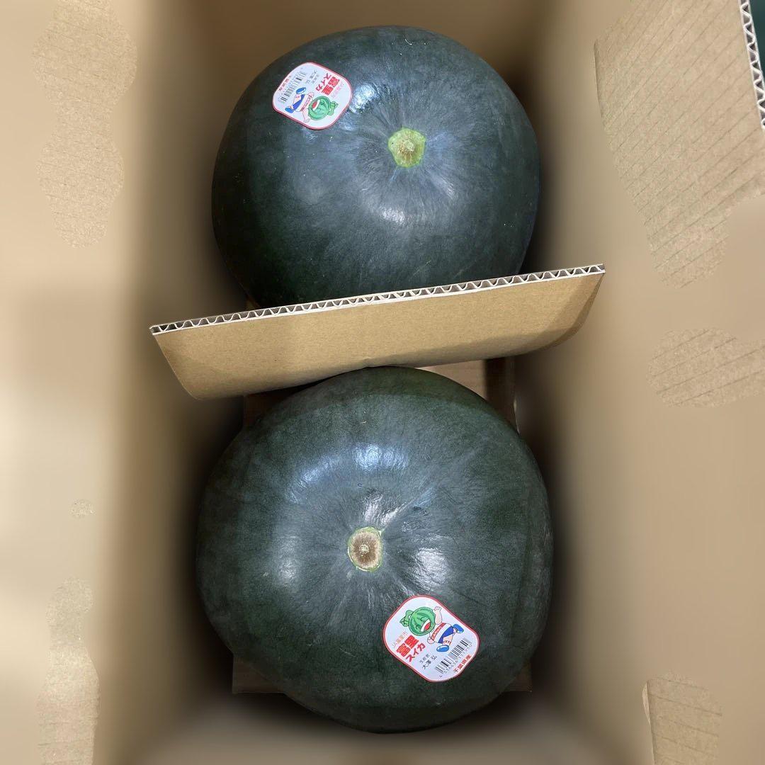 0155千葉県産富里大玉スイカブラックジャック規格外品4Lサイズ1箱2玉入り