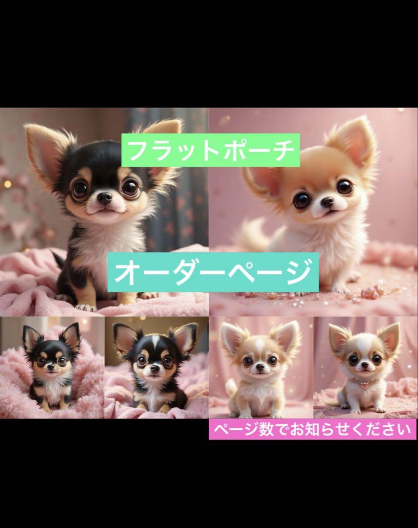 フラットポーチ