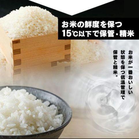 【新品未使用】アイリスオーヤマ バッグご飯 180g 40食パック 低温製法米
