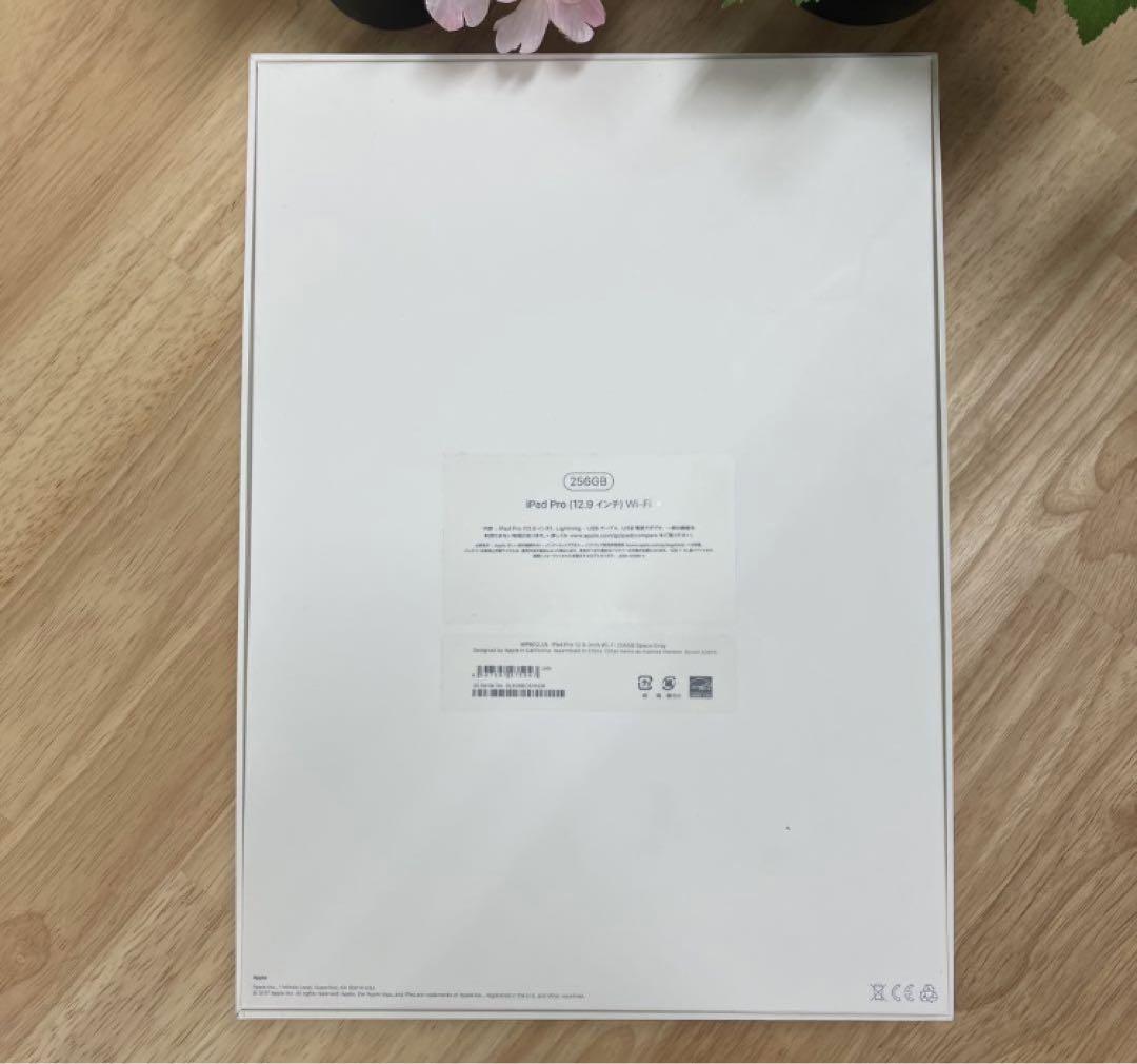 ★ iPadPro第2世代12.9インチ256GB