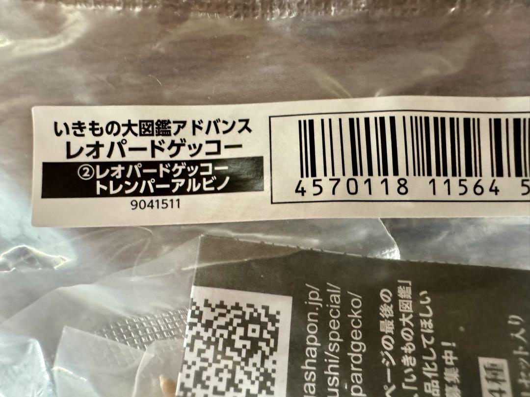 いきもの大図鑑アドバンス レオパードゲッコー フルコンプ
