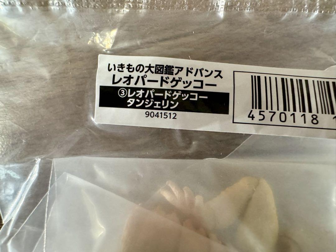 いきもの大図鑑アドバンス レオパードゲッコー フルコンプ