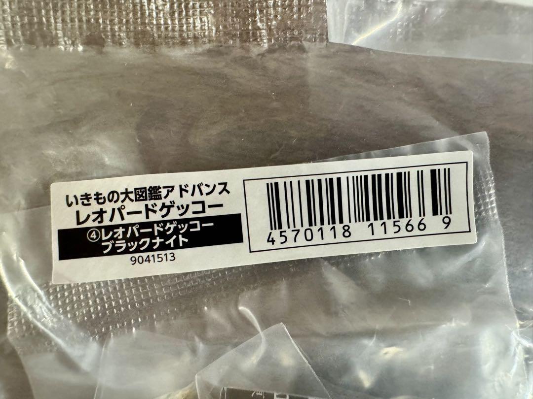 いきもの大図鑑アドバンス レオパードゲッコー フルコンプ