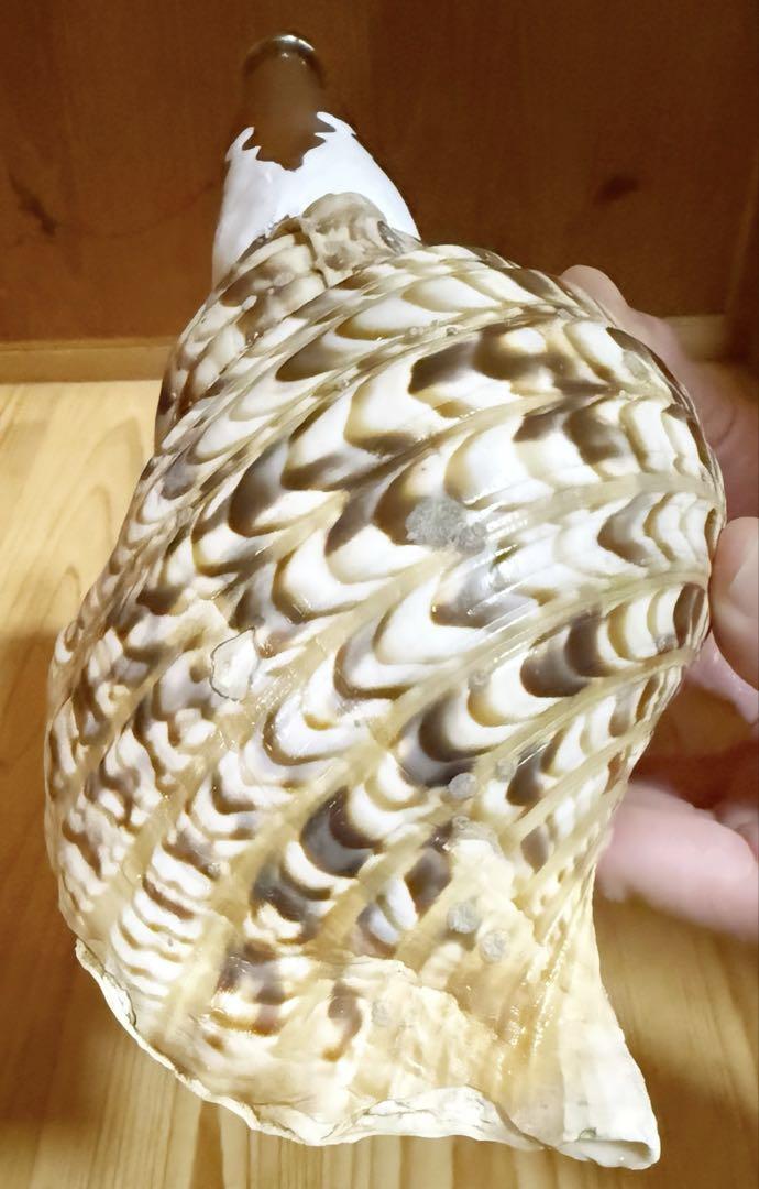 密教 魔除け