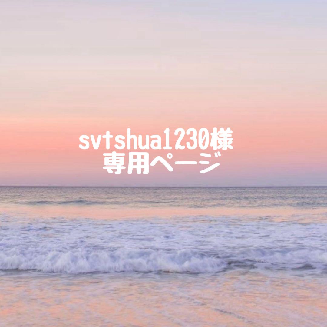 SEVENTEEN ラキドロ 2次 beatroad ジョシュア