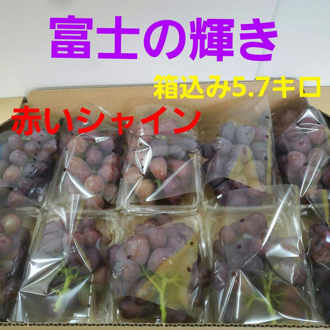 1⃣1⃣ 赤いシャイン 富士の輝き ５００ｇ‪✕‬１０パック 箱込み5.7キロ