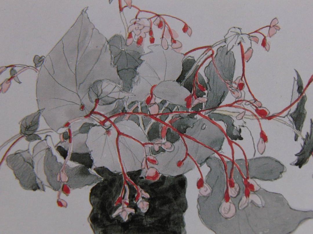 松本哲男、【黄山黎明】、希少な大判額装用画集より、美品、日本人画家 松本哲男、【黄山黎明】、希少な大判額装用画集より、美品、日本