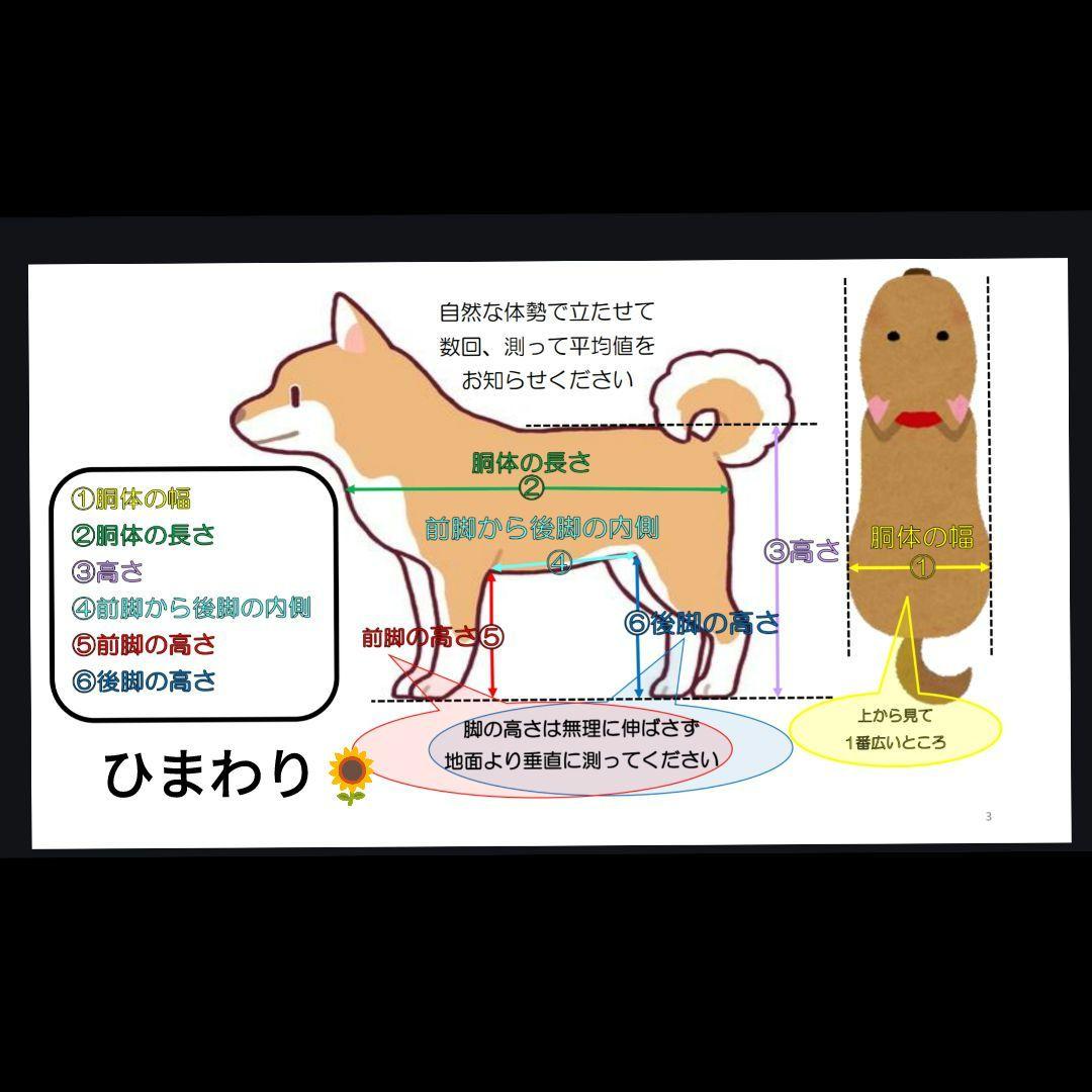 トイプー4輪!リハビリ!食事補助!犬用車椅子!介護用!犬の歩行器!