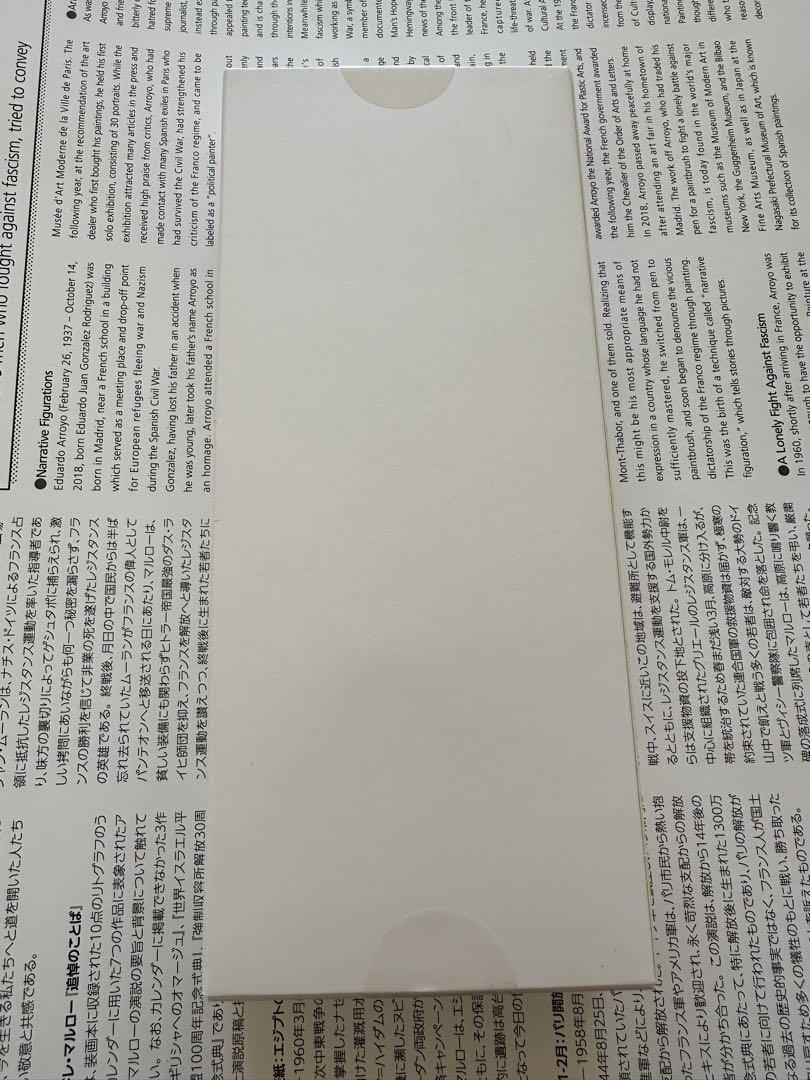 激安ほぼ新品Insta360 Flow