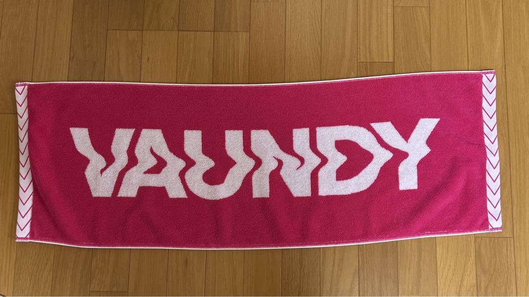 【未開封】VAUNDY ロゴジャガードタオル Amazon.co.jp: VAUNDY バウンディ ロゴジャガードタオル