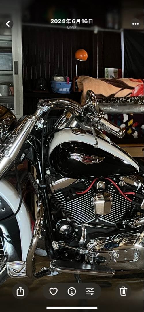 ドラッグスペシャリティーズ クロムメッキ ビーチバー目立った傷や汚れなし BRIGHTFACE_UK