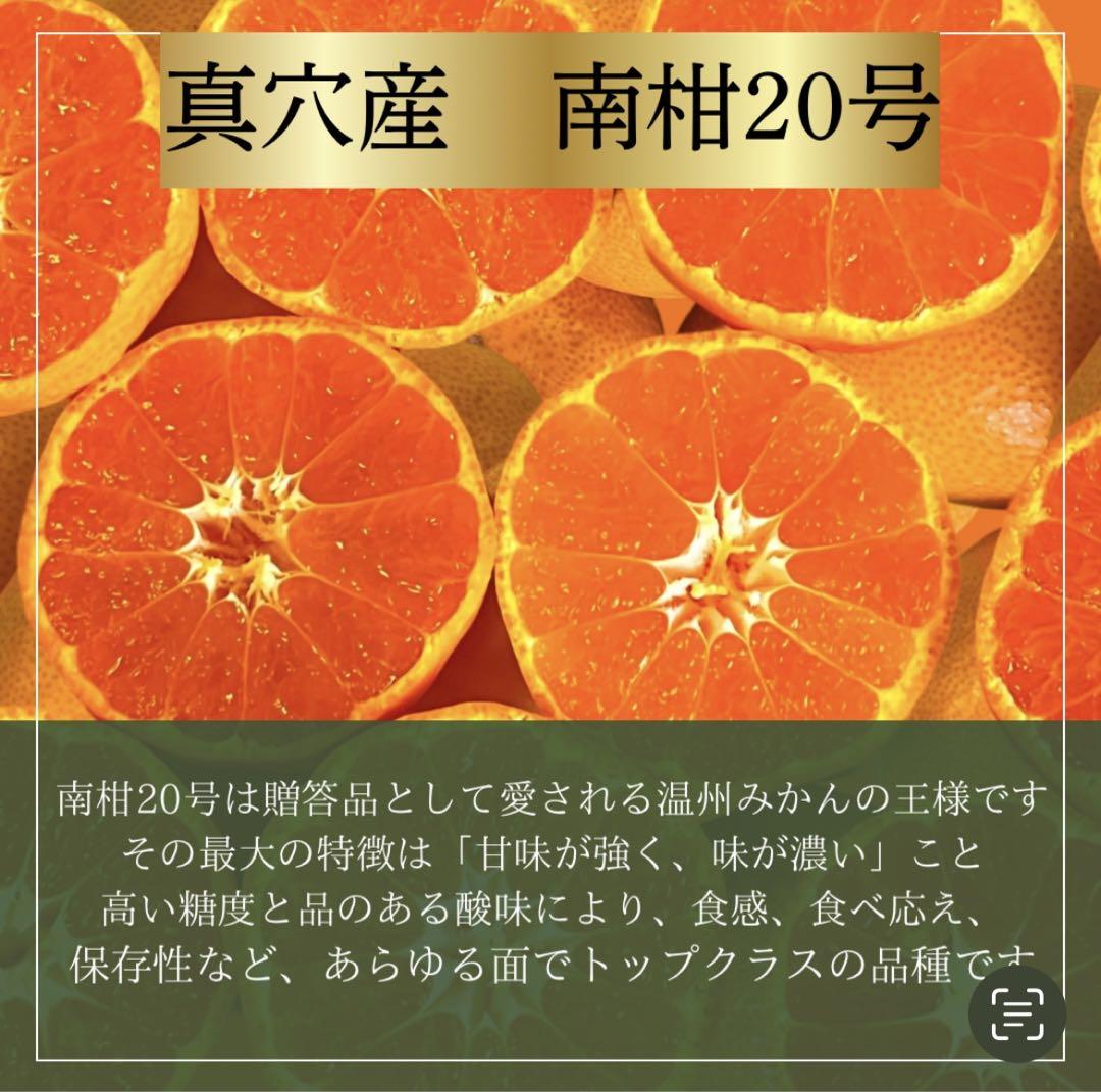 愛媛みかん 真穴産 温州みかん（南柑20号） S〜2Lサイズ混合