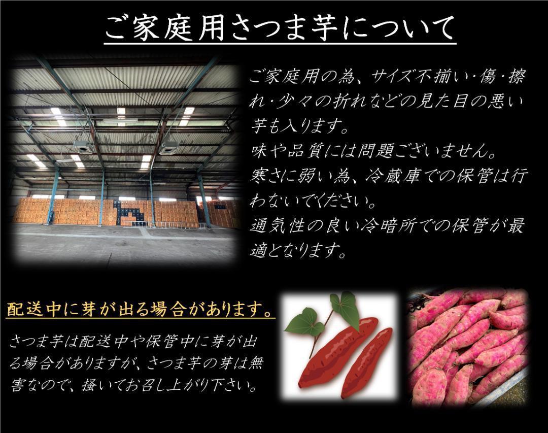 【専用】金柑2kg 焼き芋2kg 安納芋5kg