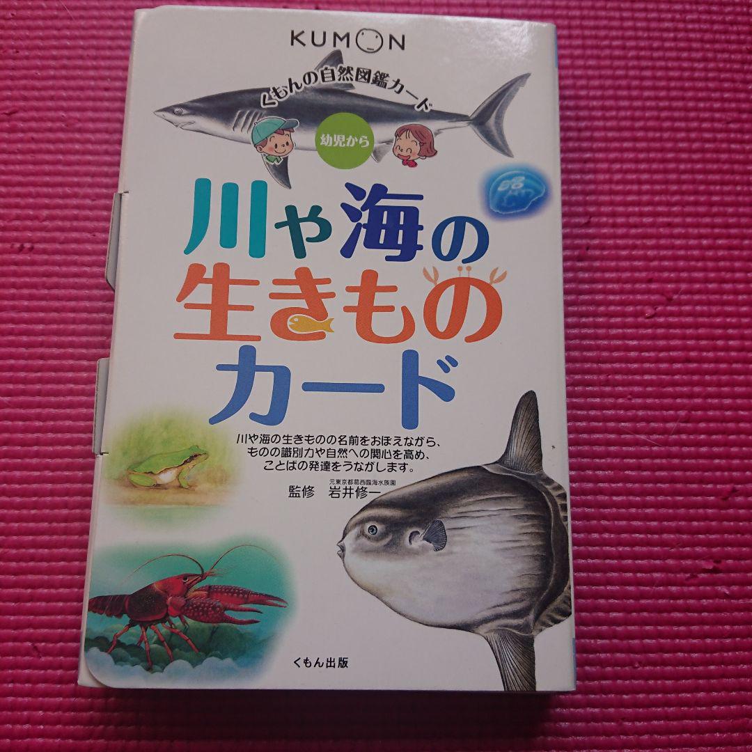 自然図鑑 川や海の生きものカード: 幼児から (くもんの自然図鑑